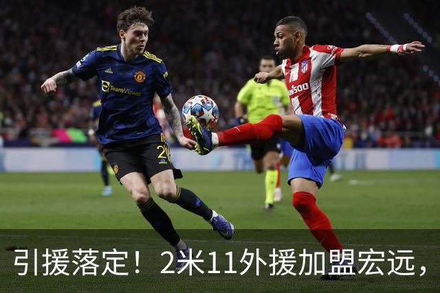 引援落定！2米11外援加盟宏远，胡明轩发力助力广东争冠之路